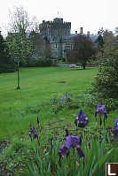 Castle With Irises