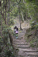 Kids Walking Up Trail