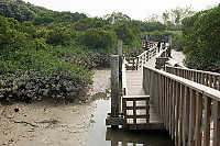 Floating Bridge