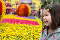 Nara With Flowers In The Background