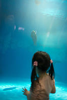 Nara With Seal In Tank