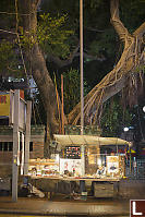 Hong Kong Banyan Tree