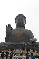 Buddha Looking Down