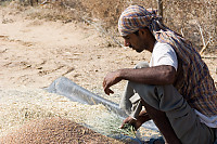 Separating Seed