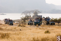 Vehicles Watching Tiger