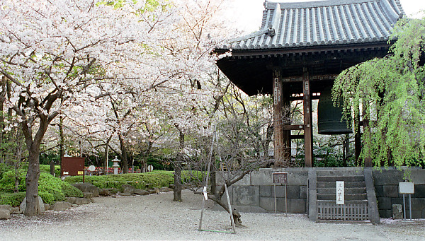 mainimage