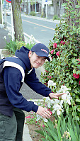 Tending Garden