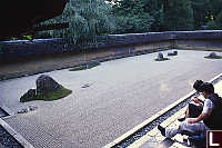 Rock Garden