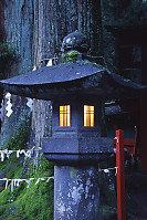 Lantern In Front Of Kano Sugi