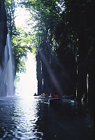Falls And Rays