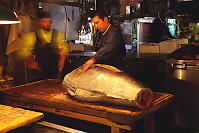 Carving Up Tuna