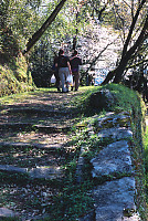 Walking On Castle Ruins