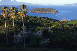 Three Palms View Of Chiringasima