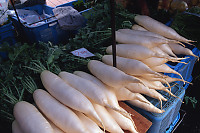 Daikon