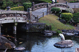 Bridges And Egret