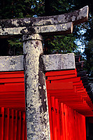 Tops Of Torii