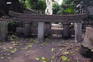 Buried Torii