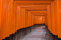 Wandering Path
