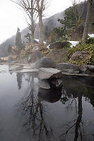 Reflections In The Pool