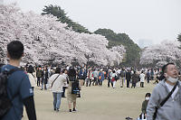 Large Crowds At Park