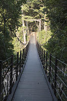 Suspension Bridge