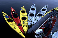 Kayaks in Water