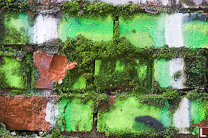 Green Brick And Shadows