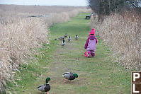 Claira Chasing Down The Ducks