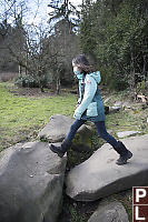 Nara Walking Over Bridge