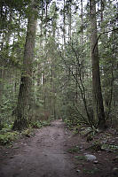 Wide Trail At UBCEndowment Lands