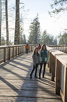 Standing On Trestle