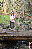 Nara On Log Bridge