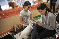 Nara And Claira With White Rabbit
