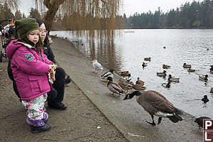 Nara And Helen Feeding The Birds