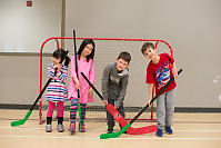 Four Cousins In Net