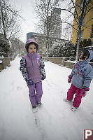 Snowing In Courtyard