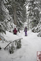 Hking In Snow Covered Forest