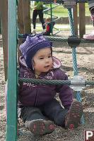 Sitting In Climbing Net