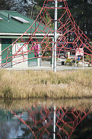 Nara Climbing On Rope Net With Reflection