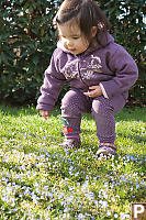 Naras With Blue Flowers