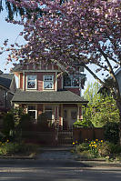 Cherry Blossom House With Ghost Biker