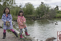 Feeding The Ducks