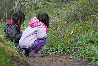 Kids Looking At Trail Side Shooting Stars