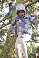 Nara Climbing Down