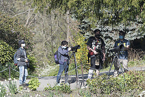 Photographers Watching Hummingbird