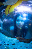 Claira In Dome