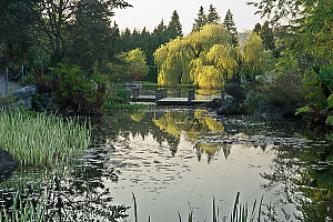 Zig Zag Bridge