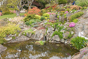 Two Pools With Reflection