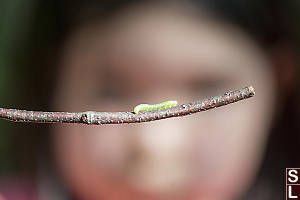 Nara With Inch Worm On AStick