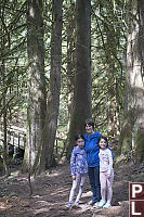 Grandma With Cedar Trees